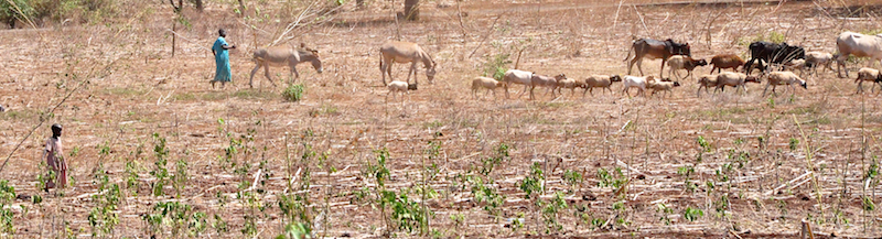 Melanie Heinrich - Travel Images - Nairobi Kenya -Arusha, Tanzania